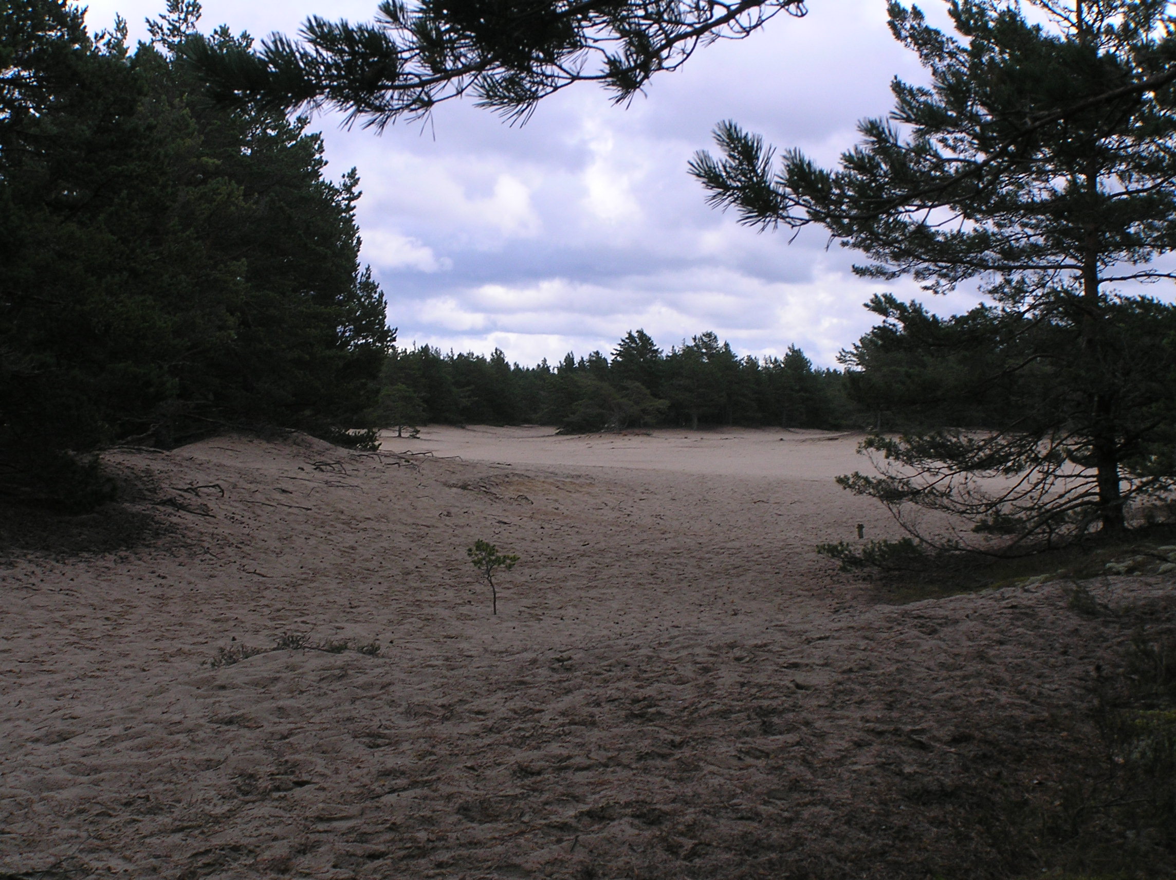 Kaibaldi liivik