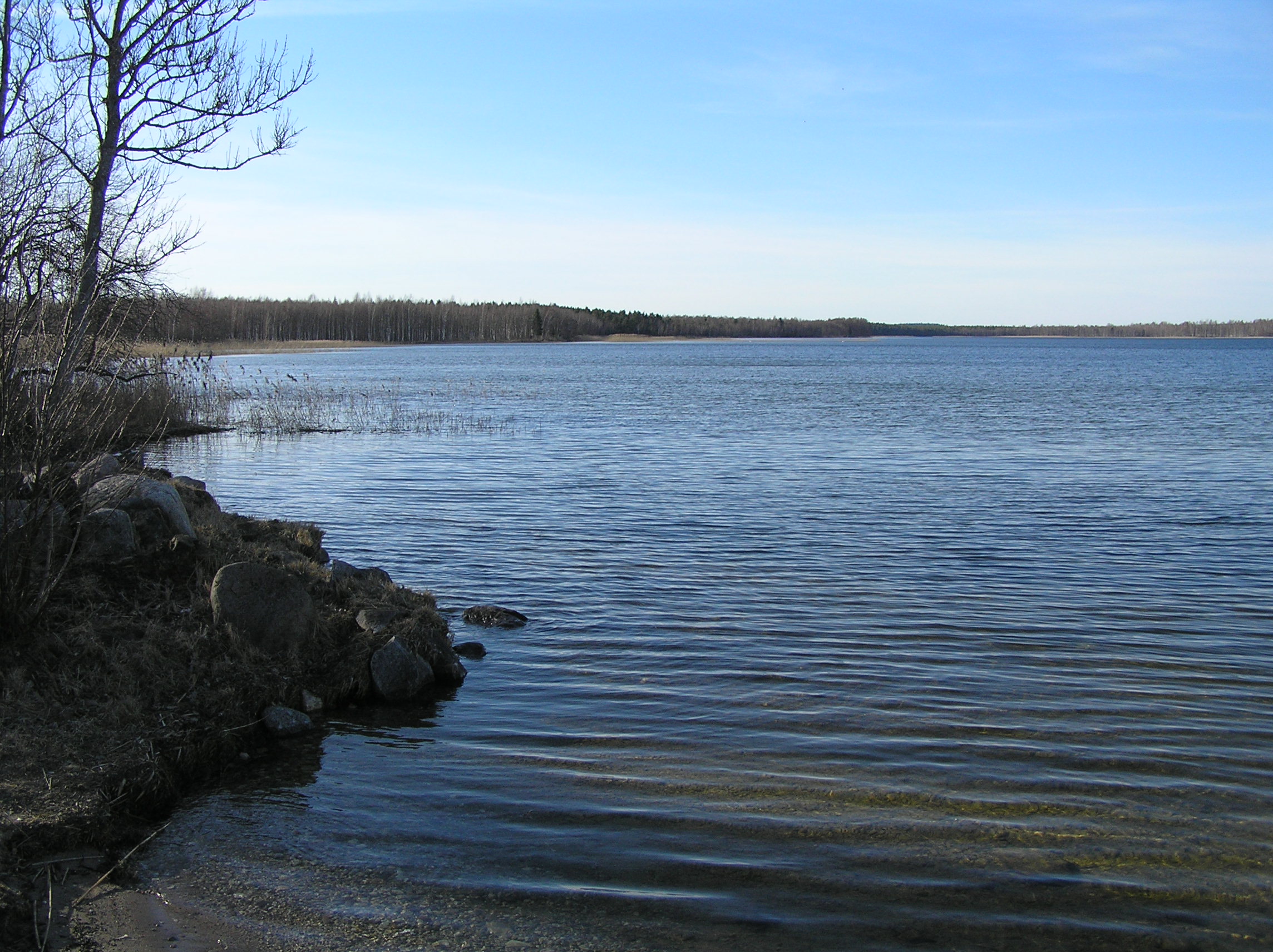 Saadjärv