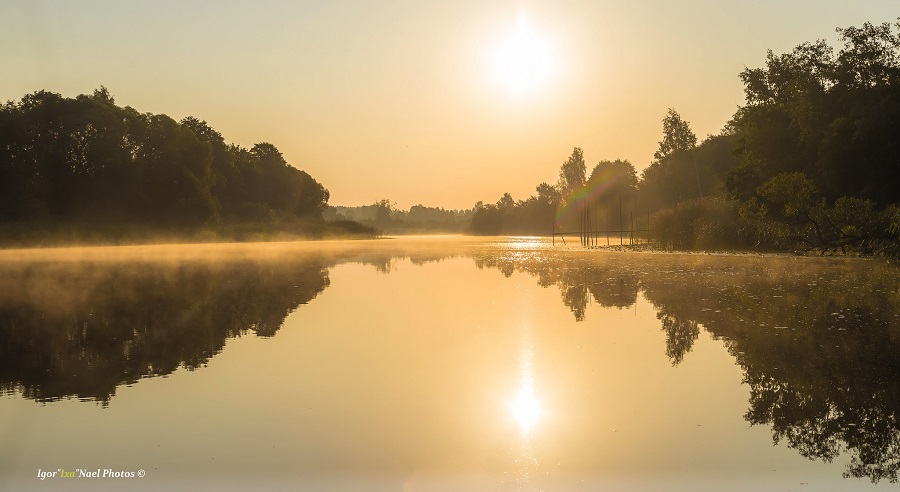 A morning on the Emajõgi River