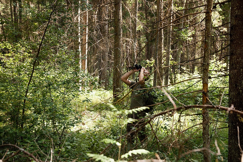 Mees bnokliga metsas