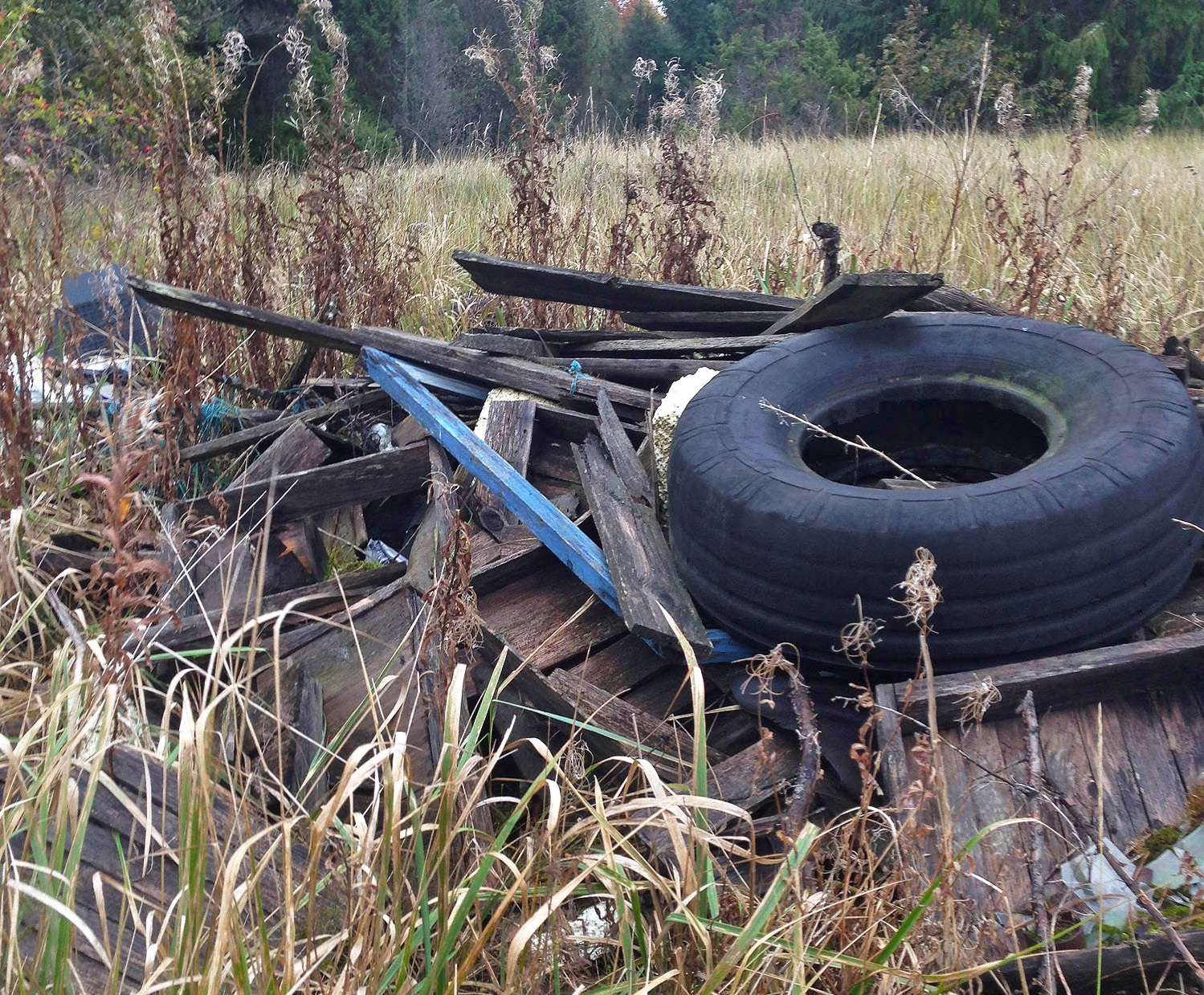 WHAT A SHAME. Man-made landfills are often found in the most unexpected places, often far from human settlements.