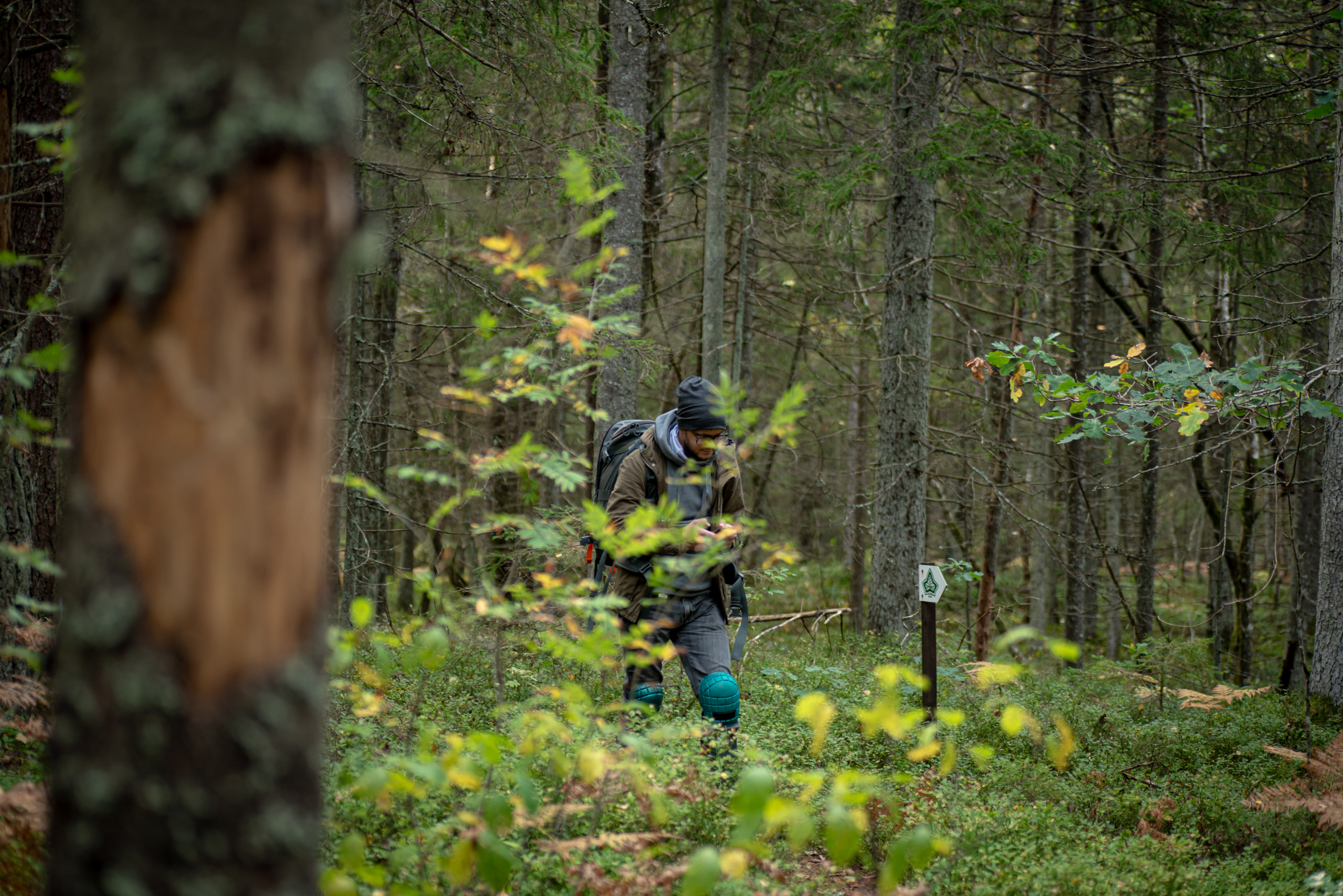 Matkaja õpperajal. Foto: Maris Sepp