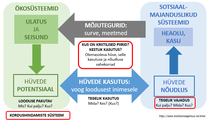 Riiklik tervikpilt