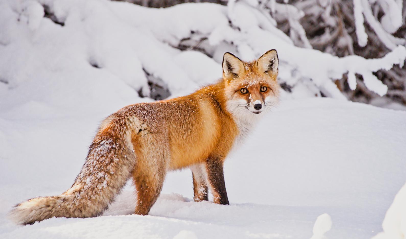 Фото: Аллар Лийв
