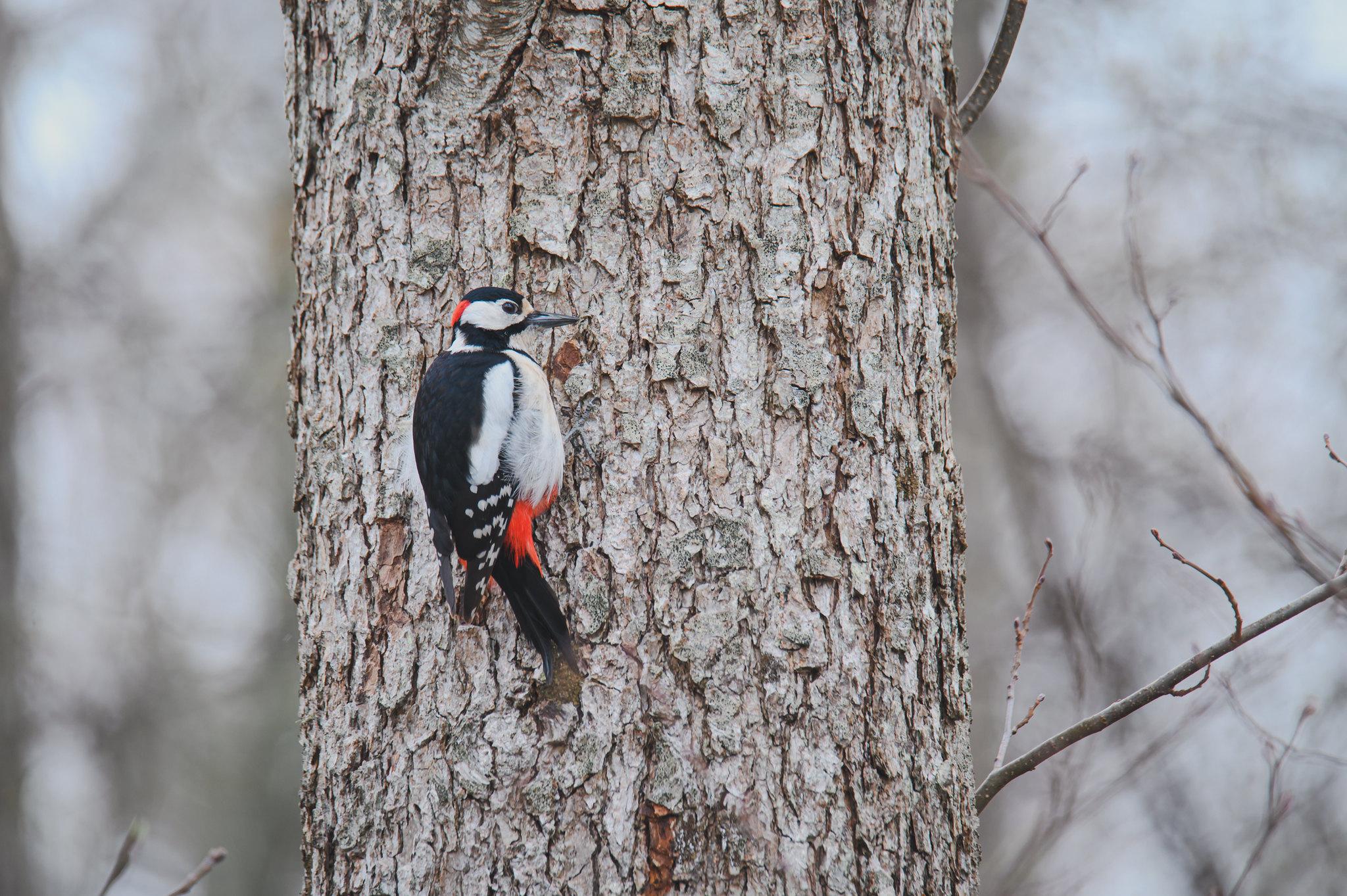 Фото: Марис Сепп