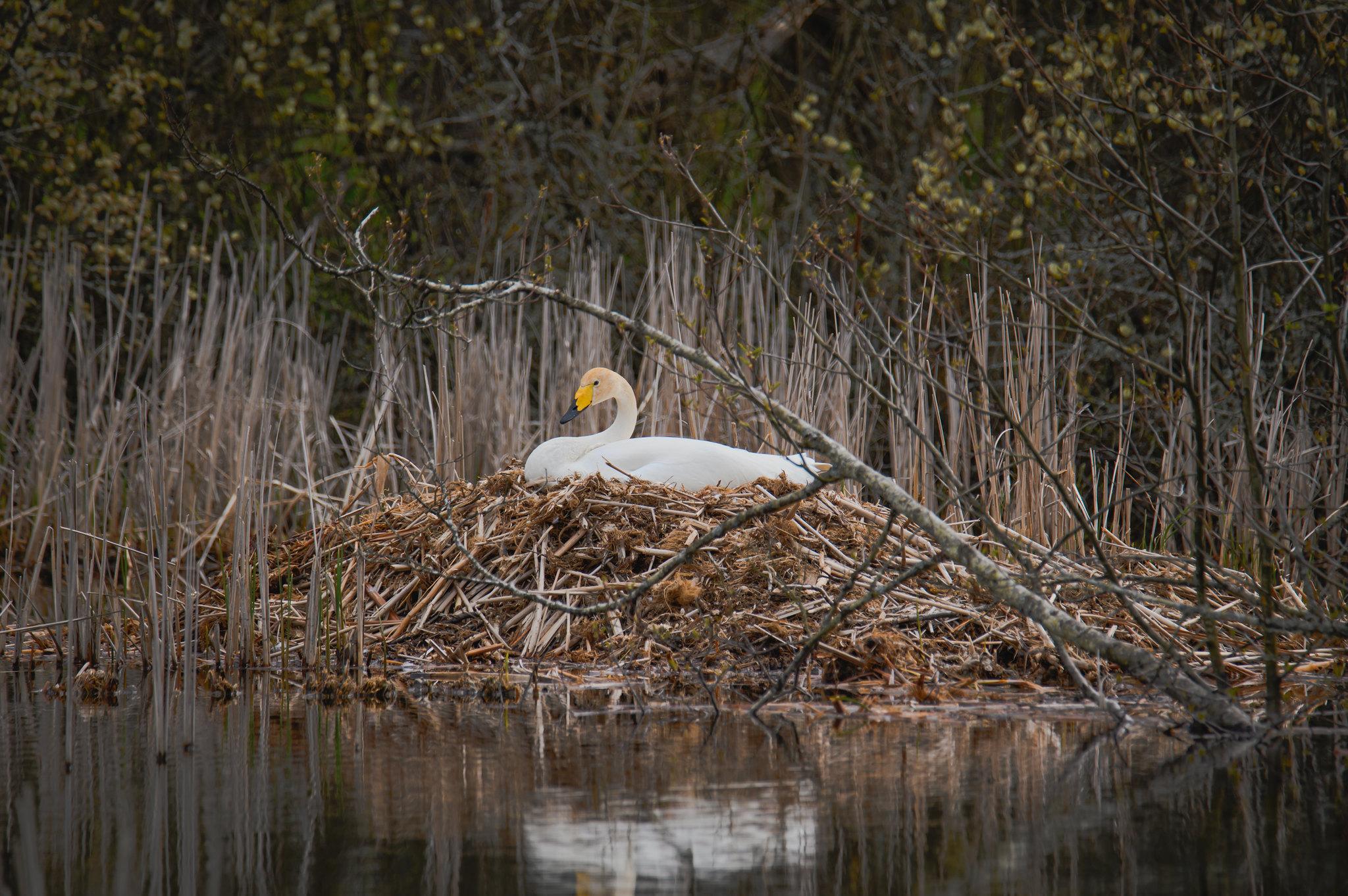 Фото: Марис Сепп