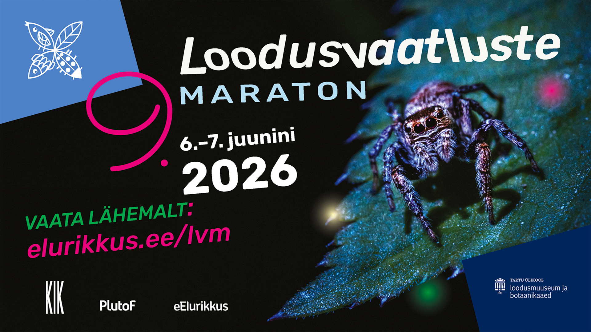 Loodusvaatluste maraton 2026